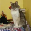 Отзыв от Алеся Шубина